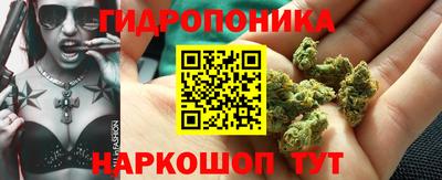 шишки Старая Купавна
