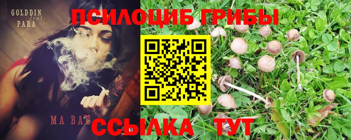 Псилоцибиновые грибы ЛСД Полевской