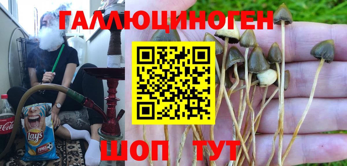 цена наркотик  Вход с VPN  Полевской  Галлюциногенные грибы MAGIC MUSHROOMS  Псилоцибиновые грибы Cubensis 